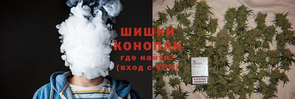 шишки Куйбышев