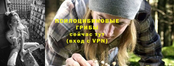 шишки Куйбышев