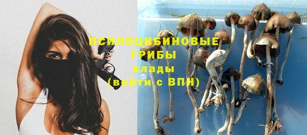 спиды Красноперекопск