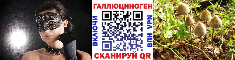 Псилоцибиновые грибы Magic Shrooms  даркнет формула  Рузаевка  где можно купить  