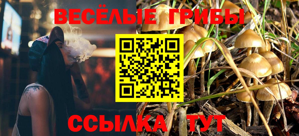Псилоцибиновые грибы GOLDEN TEACHER Рузаевка