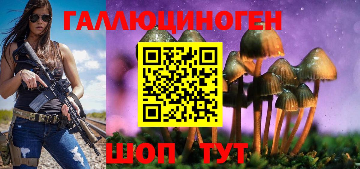 Рузаевка  Галлюциногенные грибы Psilocybe  Вход с VPN  Галлюциногенные грибы мицелий 